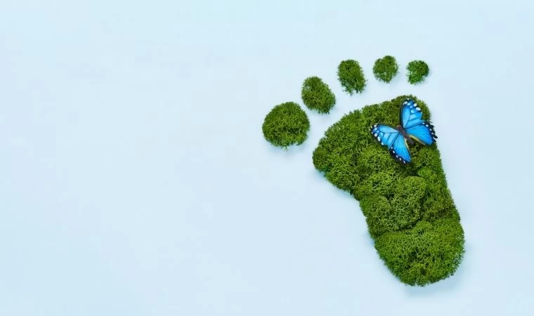 Çevresel Sürdürebilirlik: Geleceğe Sorumluluk Bilinciyle!