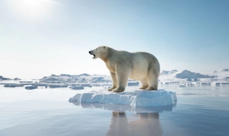 Gezegenimizin Acil Çağrısı: Küresel Isınma ve İklim Değişikliği Bilimi ve Çözüm Yolları