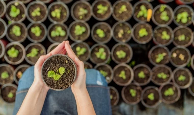 Sürdürülebilir Tarım Uygulamaları: Geleceğin Temiz Gıda ve Ekosistemleri